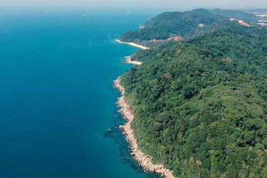 全国武术比赛吸引数千选手同台竞技，2021年全国武术比赛有哪些